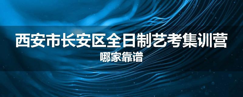 西安市长安区全日制艺考集训营哪家靠谱
