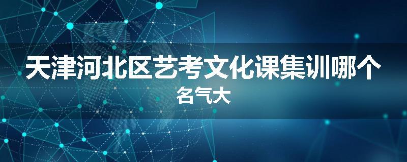 天津河北区艺考文化课集训哪个名气大