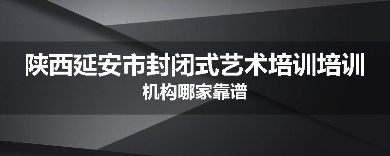 陕西延安市封闭式艺术培训培训机构哪家靠谱