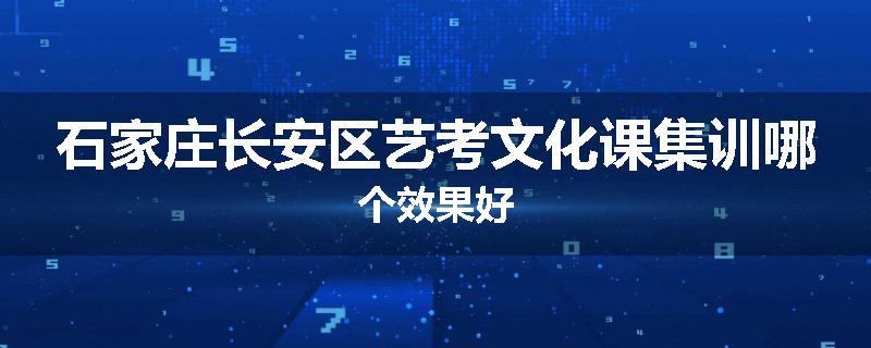 石家庄长安区艺考文化课集训哪个效果好