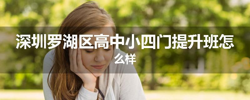深圳罗湖区高中小四门提升班怎么样