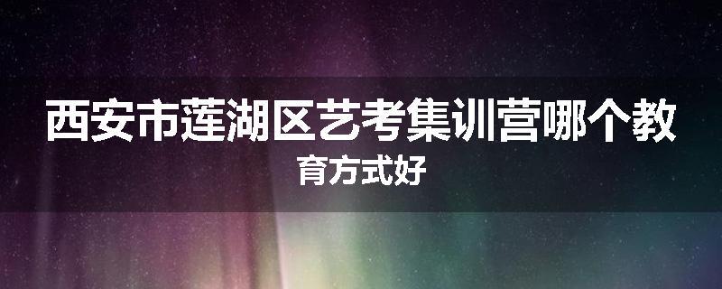 西安市莲湖区艺考集训营哪个教育方式好