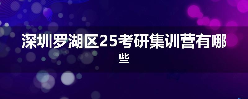 深圳罗湖区25考研集训营有哪些