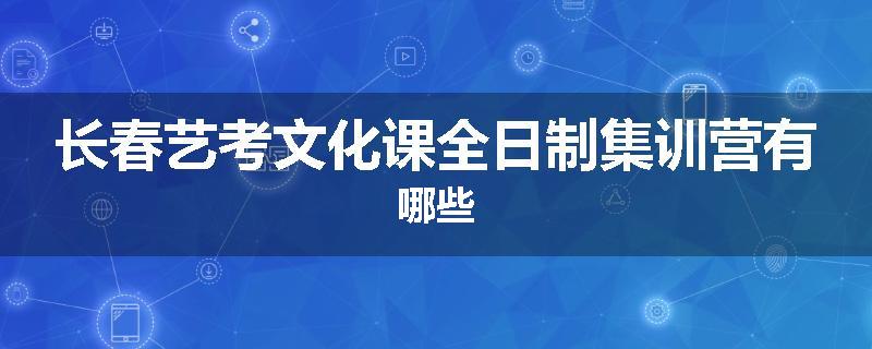 长春艺考文化课全日制集训营有哪些