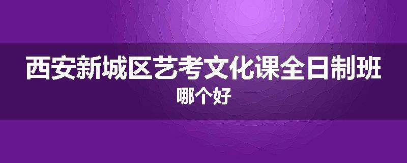西安新城区艺考文化课全日制班哪个好