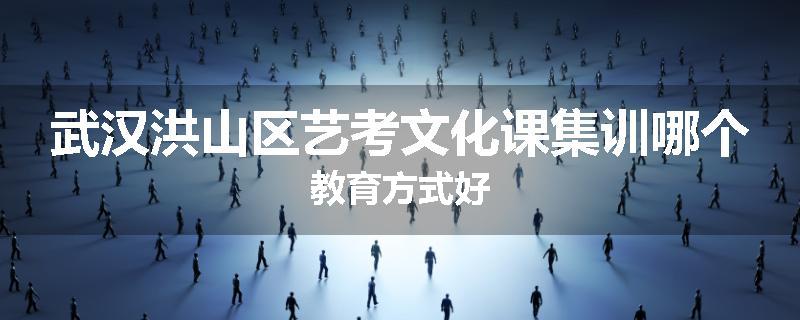 武汉洪山区艺考文化课集训哪个教育方式好