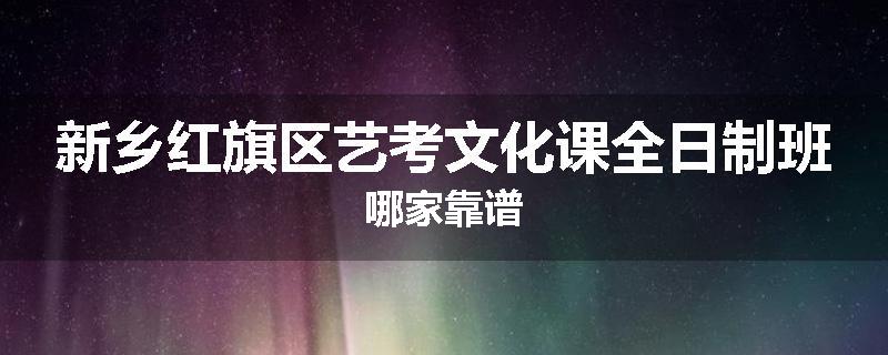 新乡红旗区艺考文化课全日制班哪家靠谱