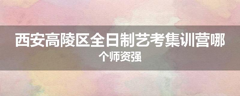 西安高陵区全日制艺考集训营哪个师资强