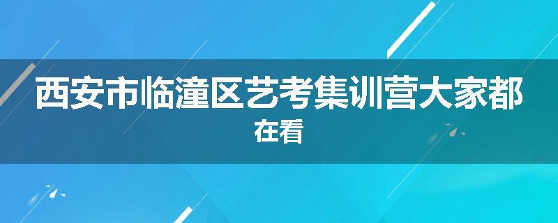 西安市临潼区艺考集训营大家都在看