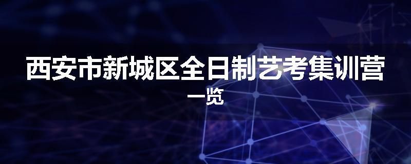 西安市新城区全日制艺考集训营一览
