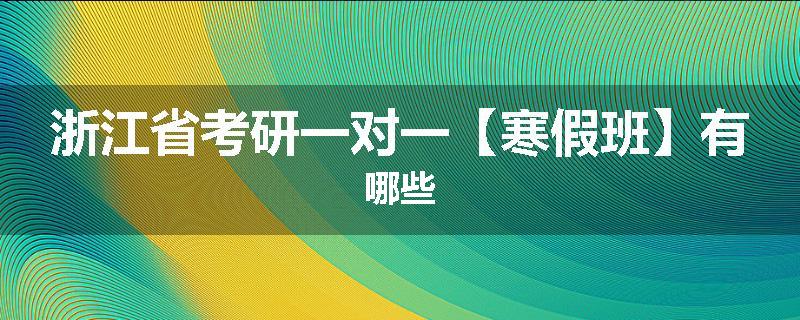 浙江省考研一对一【寒假班】有哪些