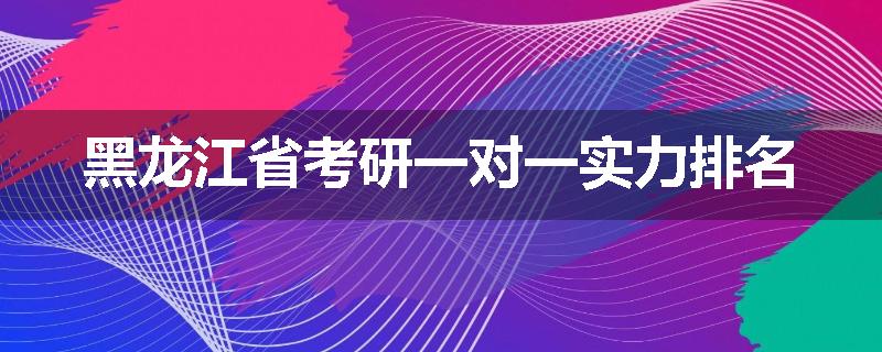 黑龙江省考研一对一实力排名