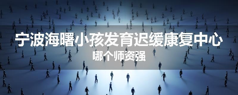 宁波海曙小孩发育迟缓康复中心哪个师资强
