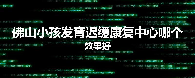 佛山小孩发育迟缓康复中心哪个效果好