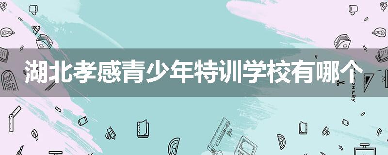 湖北孝感青少年特训学校有哪个