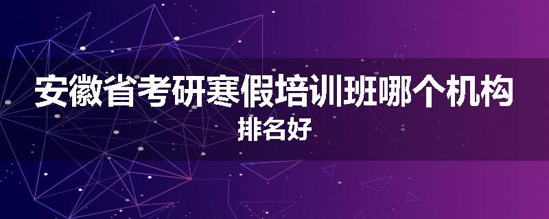 安徽省考研寒假培训班哪个机构排名好