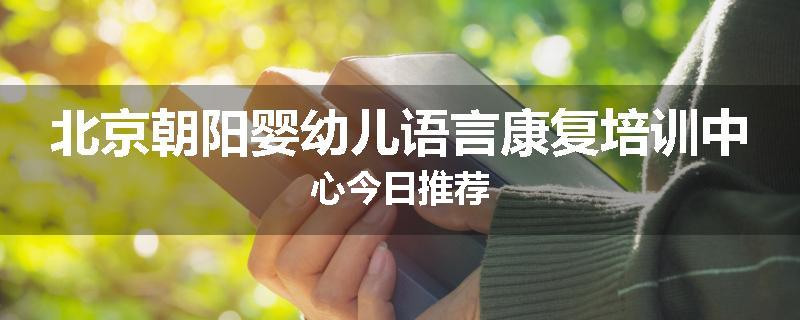 北京朝阳婴幼儿语言康复培训中心今日推荐