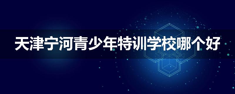 天津宁河青少年特训学校哪个好