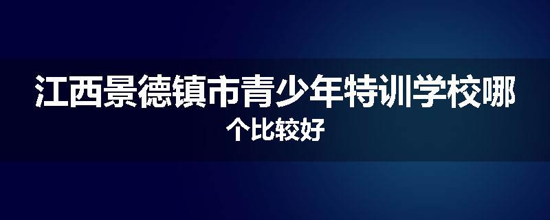 江西景德镇市青少年特训学校哪个比较好