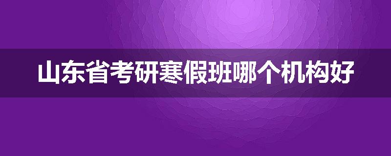 山东省考研寒假班哪个机构好