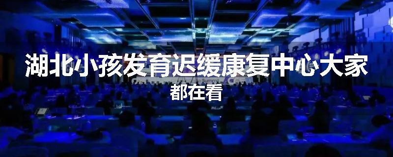 湖北小孩发育迟缓康复中心大家都在看