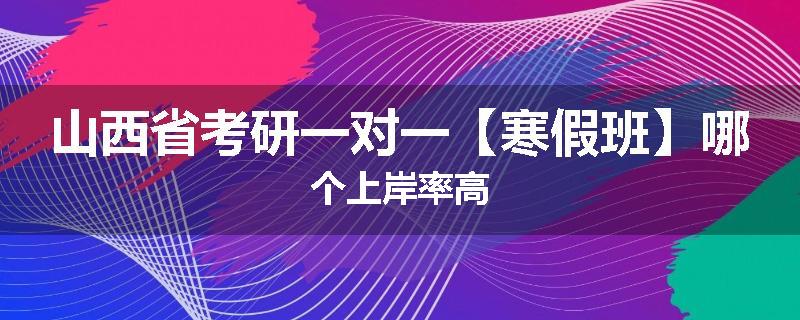 山西省考研一对一【寒假班】哪个上岸率高