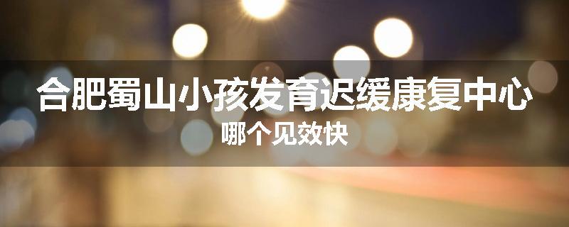 合肥蜀山小孩发育迟缓康复中心哪个见效快