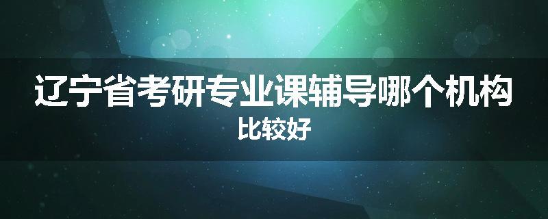 辽宁省考研专业课辅导哪个机构比较好