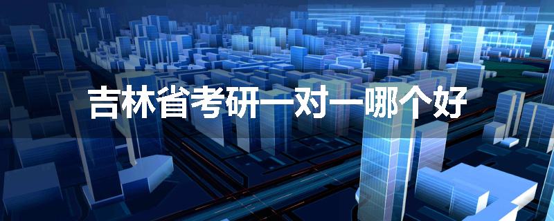 吉林省考研一对一哪个好