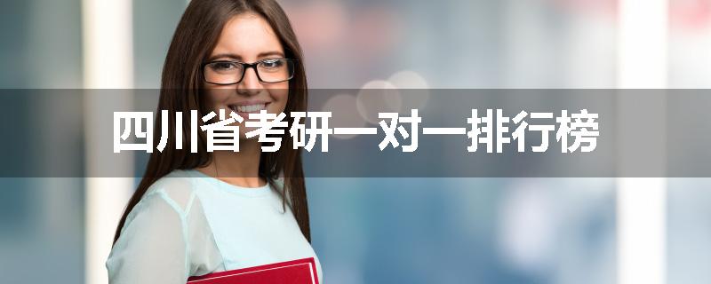 四川省考研一对一排行榜