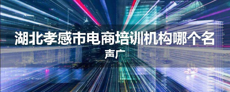 湖北孝感市电商培训机构哪个名声广
