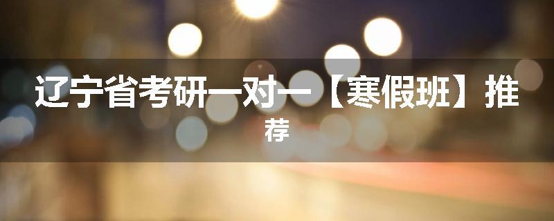 辽宁省考研一对一【寒假班】推荐