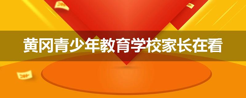黄冈青少年教育学校家长在看