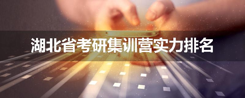 湖北省考研集训营实力排名