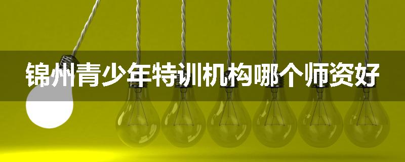 锦州青少年特训机构哪个师资好