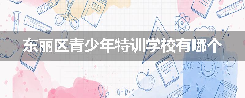 东丽区青少年特训学校有哪个