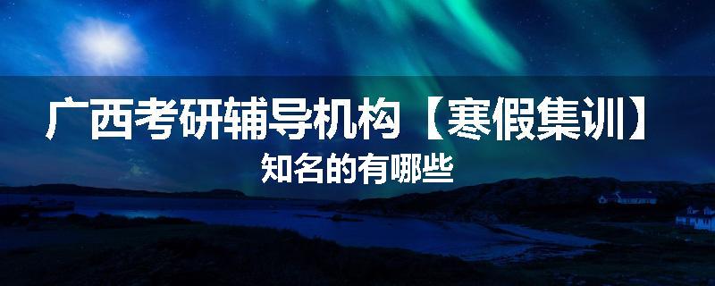 广西考研辅导机构【寒假集训】知名的有哪些