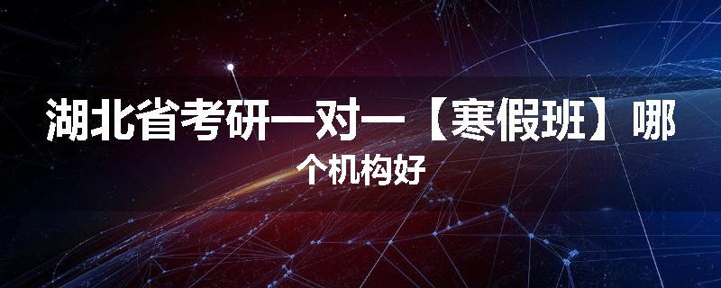 湖北省考研一对一【寒假班】哪个机构好