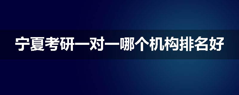 宁夏考研一对一哪个机构排名好