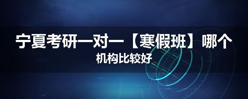 宁夏考研一对一【寒假班】哪个机构比较好