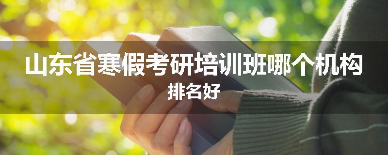 山东省寒假考研培训班哪个机构排名好