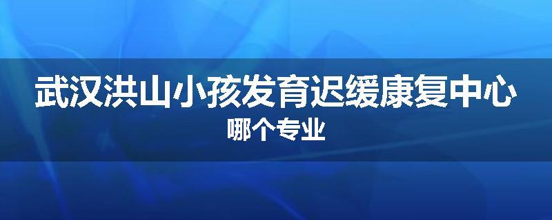 武汉洪山小孩发育迟缓康复中心哪个专业