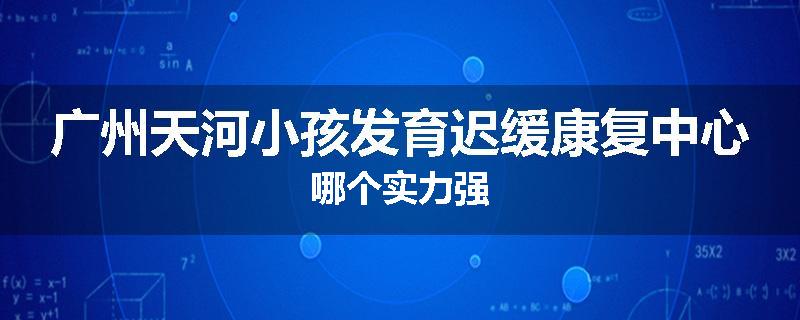 广州天河小孩发育迟缓康复中心哪个实力强