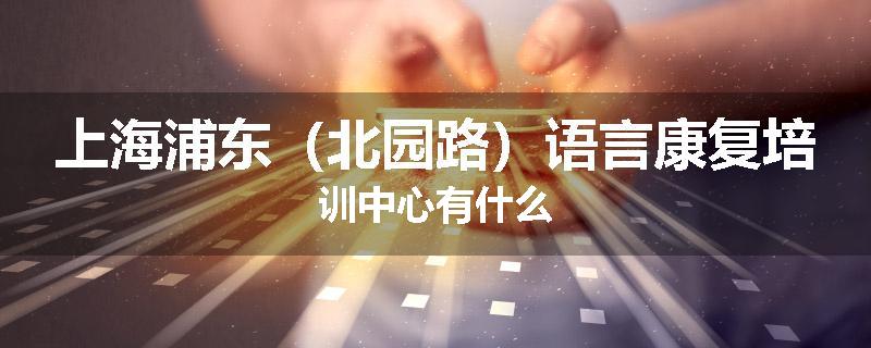上海浦东（北园路）语言康复培训中心有什么
