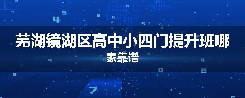 芜湖镜湖区高中小四门提升班哪家靠谱