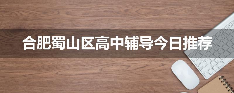 合肥蜀山区高中辅导今日推荐