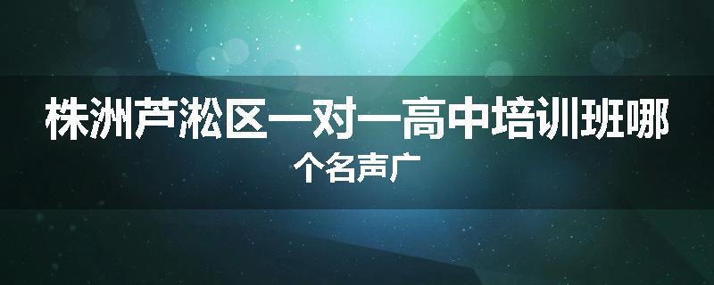 株洲芦淞区一对一高中培训班哪个名声广