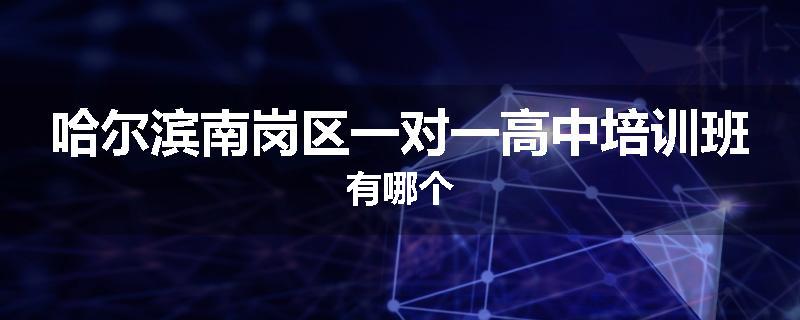 哈尔滨南岗区一对一高中培训班有哪个
