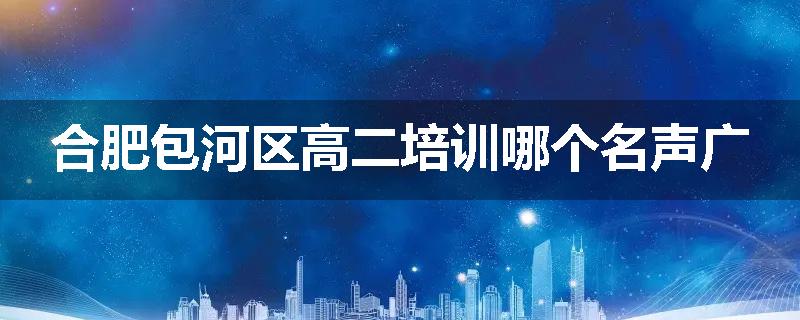合肥包河区高二培训哪个名声广