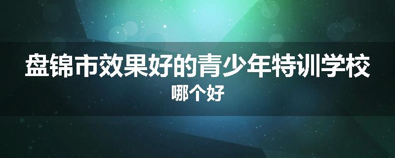 盘锦市效果好的青少年特训学校哪个好